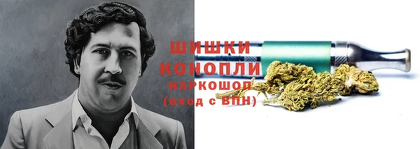 стафф Белокуриха